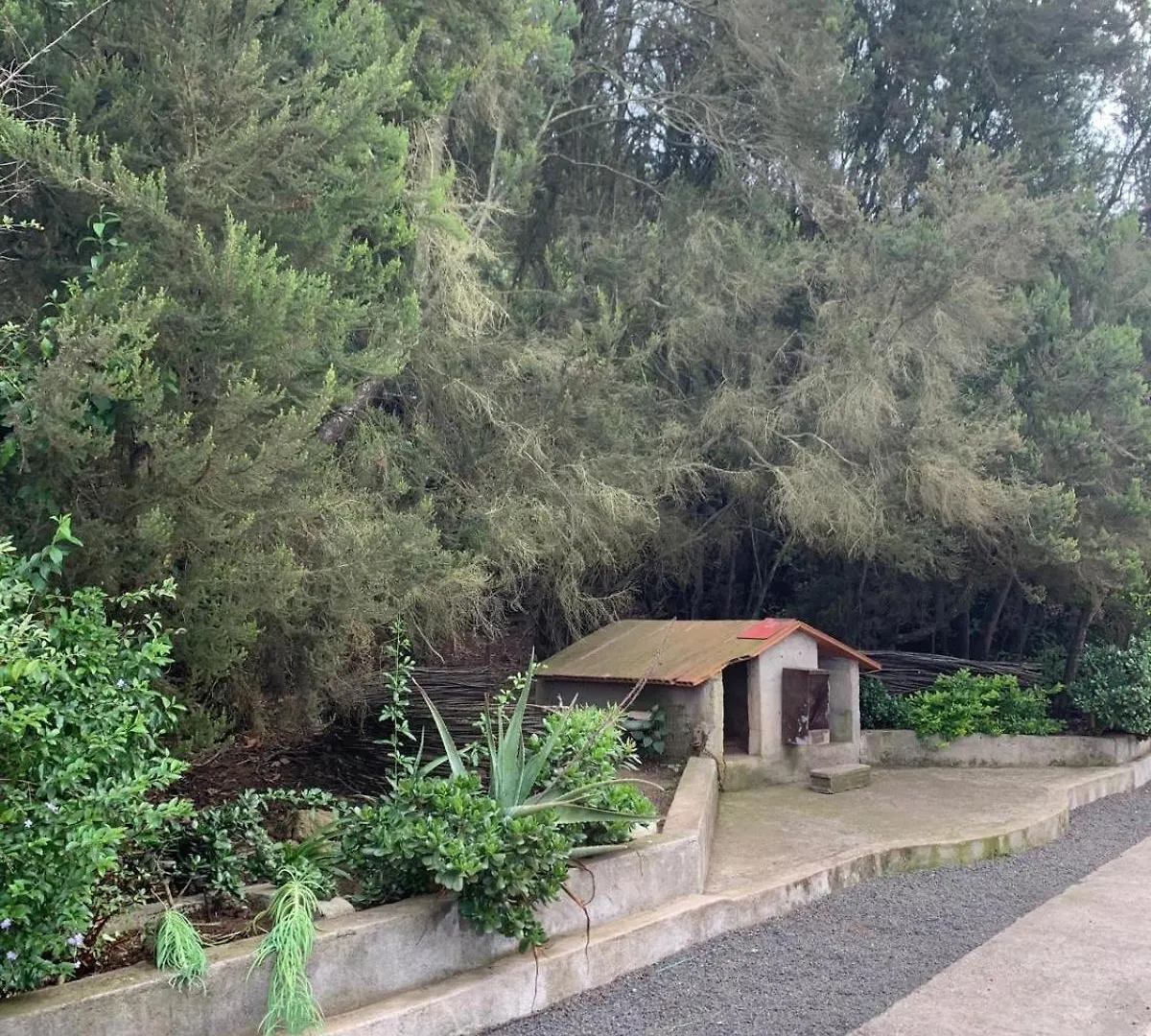 דירה סנטה קרוז דה טנריף Retiro En La Naturaleza - Desconexion Y Relax